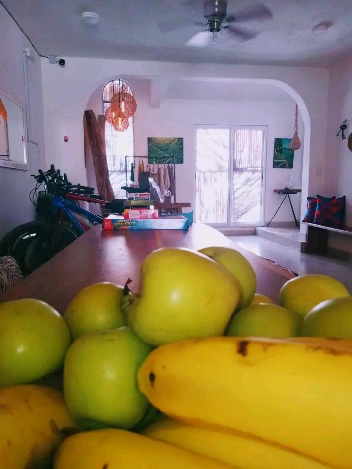 Casa Bizu Panzió Bacalar Kültér fotó